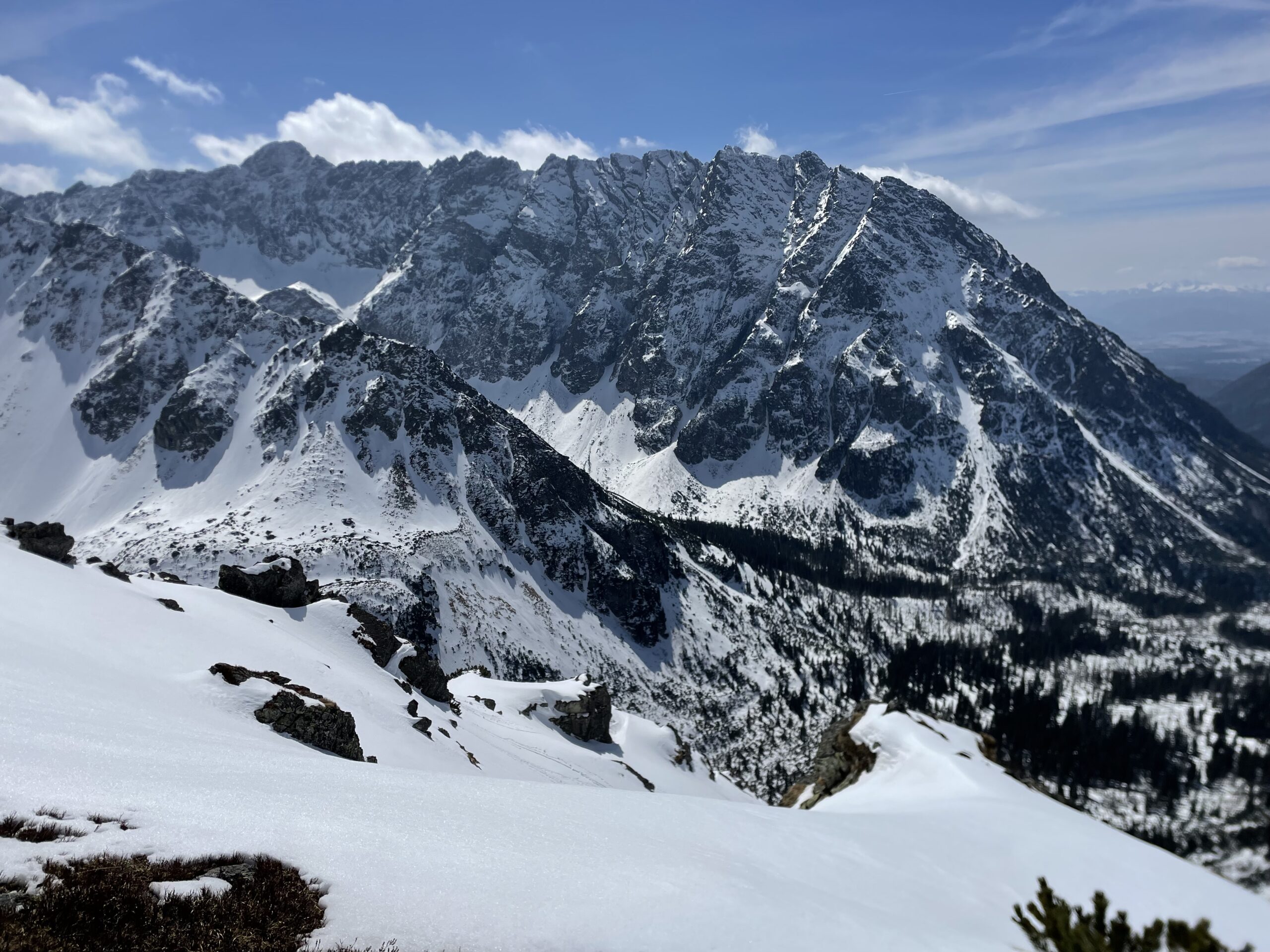 ACE3E72B-C7B0-4486-889C-B2C7FE91E38F