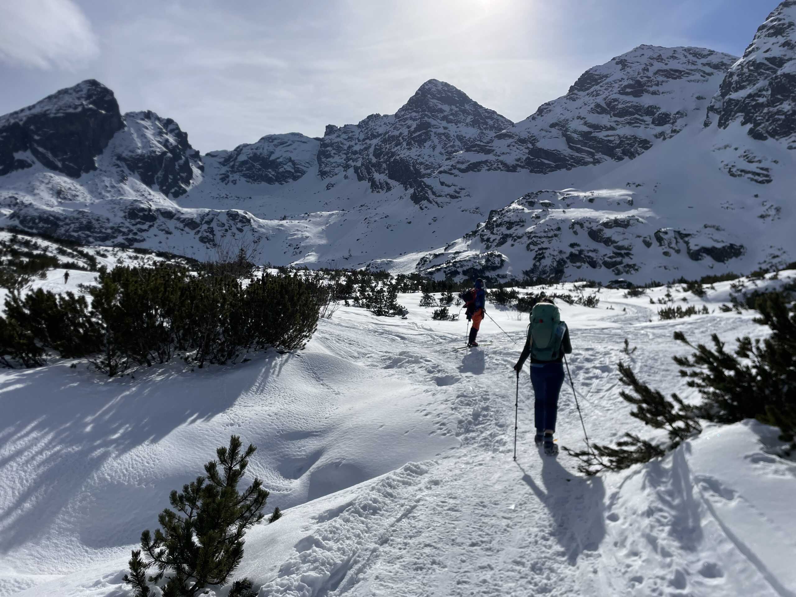 BE907DB5-83BB-4F5D-BF06-39A3B3D1970A